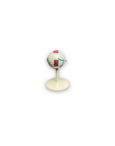 modelo anatomico del ojo