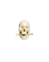 Load image into Gallery viewer, venta de modelos anatomicos
