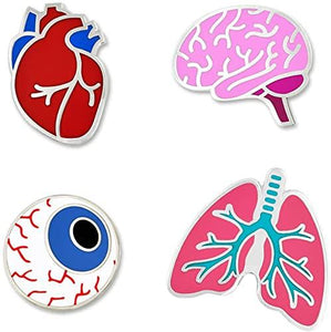 prendedores de corazon, cerebro, ojo y pulmones